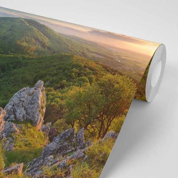 Carta da parati – Natura illuminata dal sole