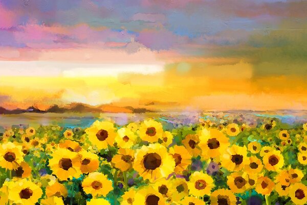Carta da parati – Campo di girasoli
