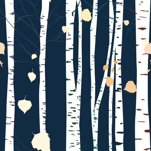 Carta da parati – Alberi di betulla misteriosi