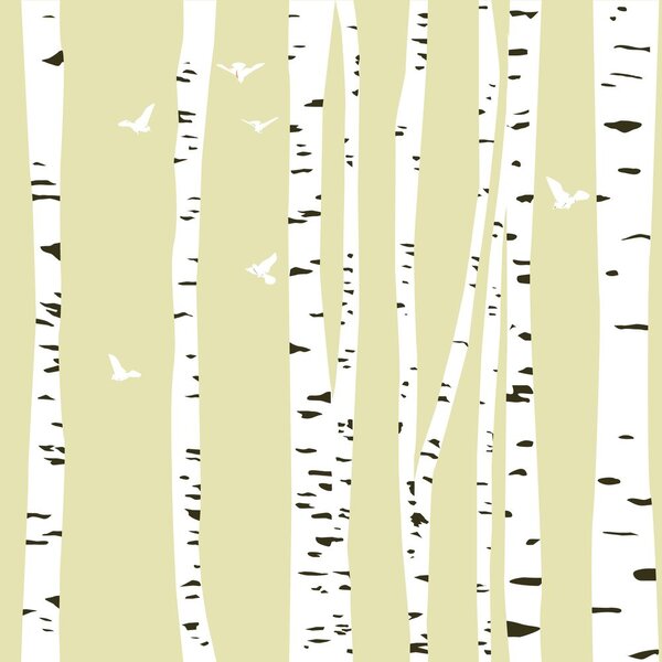 Carta da parati – Foresta di betulle