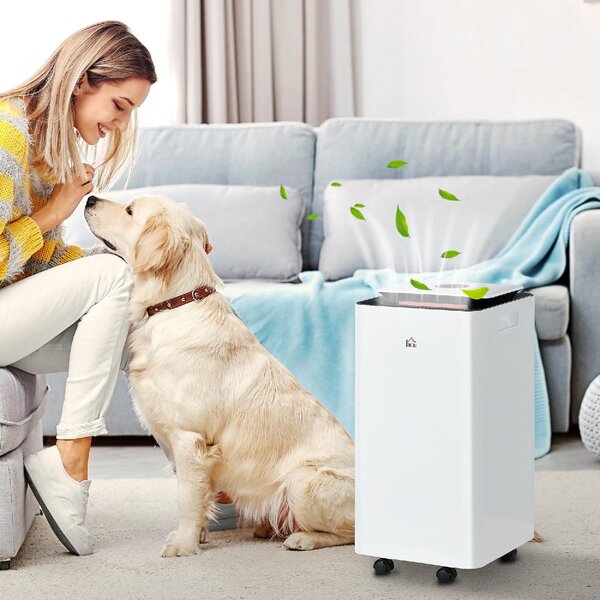DecHome Deumidificatore Portatile da 10L con 5 Modalit 2 Velocit Timer 24h e Ruote 25x25x50.5cm colore Bianco - 950WTS431