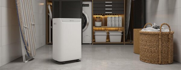 OLIMPIA SPLENDID Deumidificatore Portatile per la casa muffa 10 Litri in 24 Ore Tanica 2 Litri - 02060 Aquaria S1 10 P