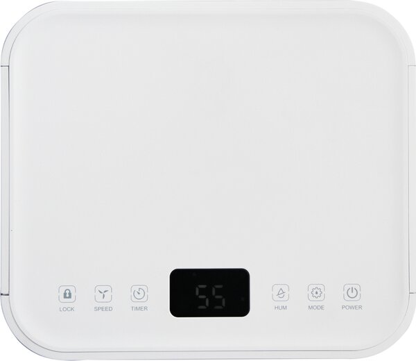 Argo Deumidificatore Portatile per la casa muffa 11 Litri in 24 Ore Tanica 2 Litri con Timer - Lilium Art 11