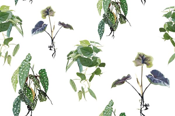 Carta da parati – Foglie verdi graziose