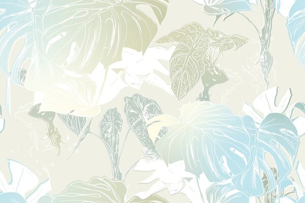 Carta da parati – Foglie magiche di monstera