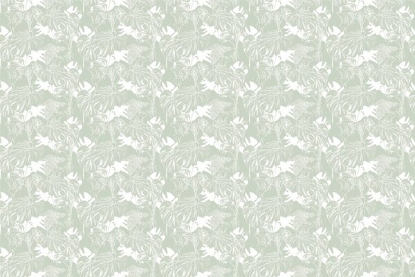 Carta da parati – Monstera insolita