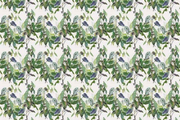 Carta da parati – Foglie tropicali abbondanti