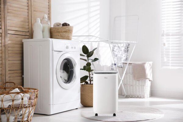 Ardes Deumidificatore Portatile per la casa muffa 12 Litri in 24 Ore Tanica 4 Litri con Timer colore Bianco - ARDEHU12 Sekko 12
