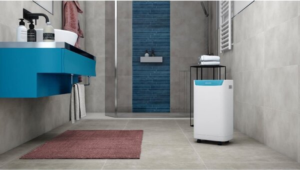 OLIMPIA SPLENDID Deumidificatore Portatile per la casa muffa 14 Litri in 24 Ore Tanica 2 Litri - 02062 Aquaria S1 14 P