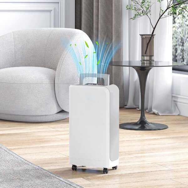 DecHome Deumidificatore Portatile Touch da 12L con Tubo di Scarico Timer e Filtro in ABS 28x18x50.6 cm colore Bianco - 980WTS432