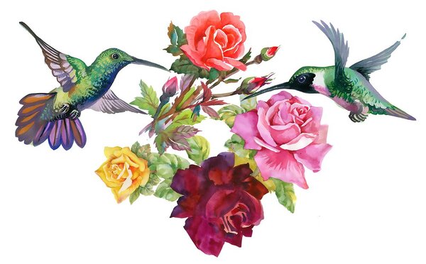 Carta da parati – Colibrì con fiori