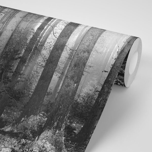 Carta da parati – Mistero del bosco in bianco e nero