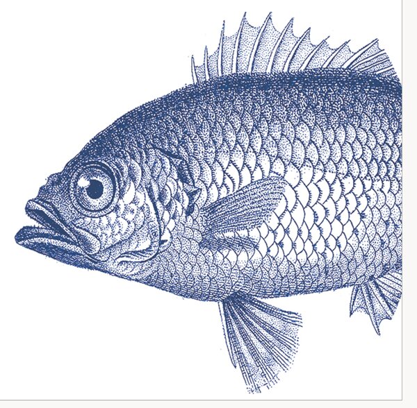 Set di 40 tovaglioli di carta Fish
