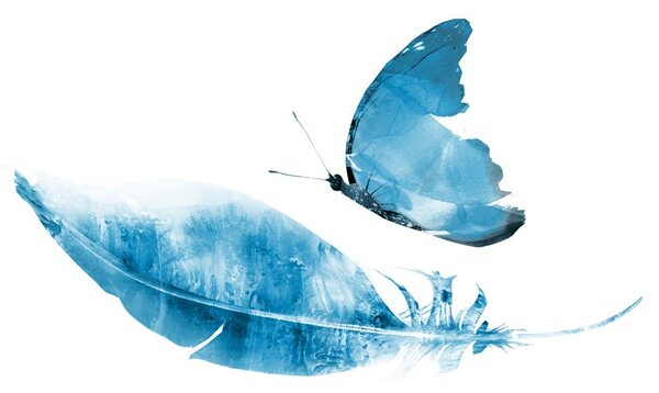 Carta da parati – Piuma con farfalla in stile blu