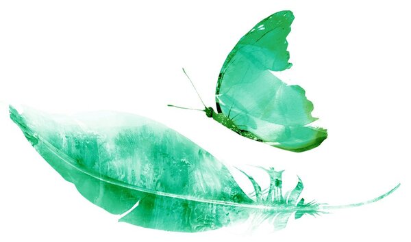 Carta da parati – Piuma con farfalla in stile verde