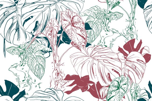 Carta da parati – Foglie colorate di monstera