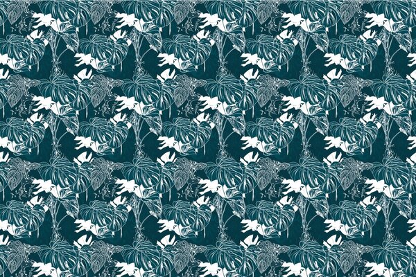 Carta da parati – Foglie tropicali di monstera