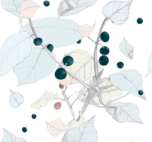 Carta da parati – Bacche d'uva