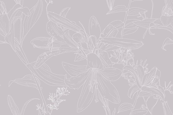 Carta da parati – Giglio disegnato in versione grigia