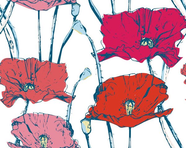 Carta da parati – Papaveri fioriti