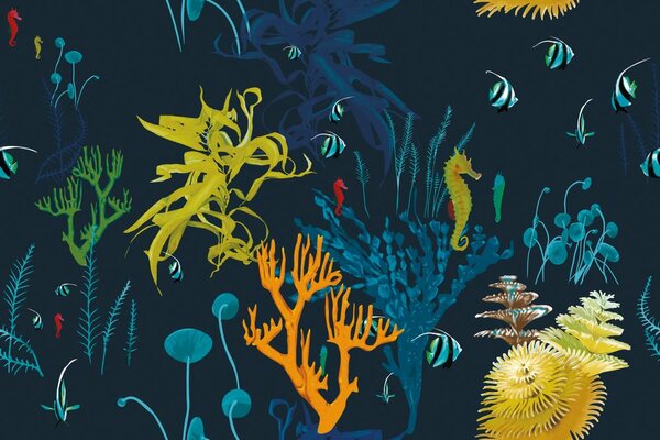 Carta da parati – Bellezze del mondo sottomarino