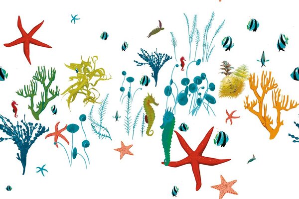 Carta da parati – Bellezze sotto la superficie del mare