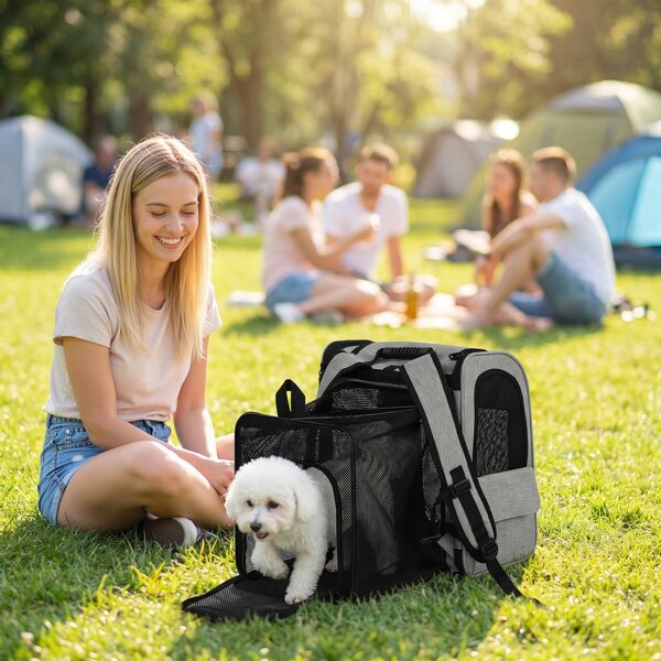 PawHut Trasportino Espandibile per Gatti con con 5 Tasche e Striscia Riflettente, 33,5x28x42 cm, Grigio Chiaro | Aosom Italy