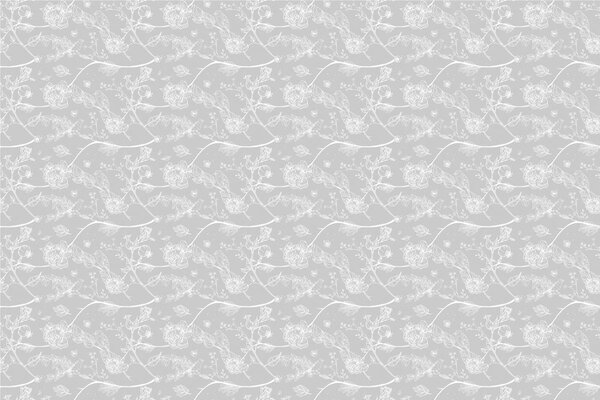 Carta da parati – Bellissimi uccellini in grigio
