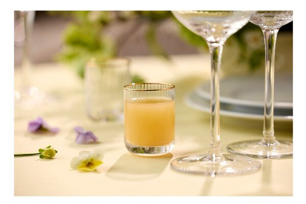 Set di bicchieri da shot 4 pz 60 ml Palermo – Lyngby Glas