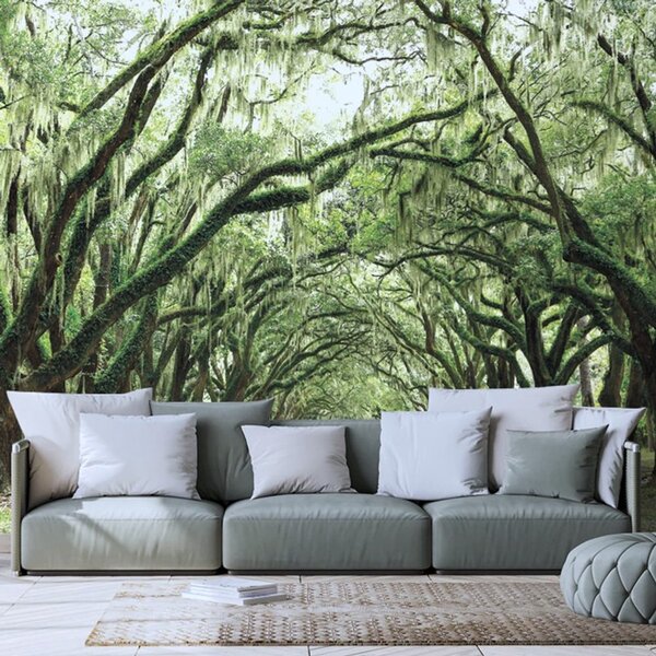 Fotomurale – Alberi in abbraccio