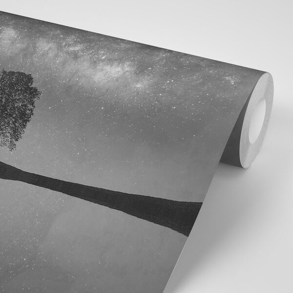 Fotomurale – Cielo stellato in bianco e nero sopra l'albero solitario