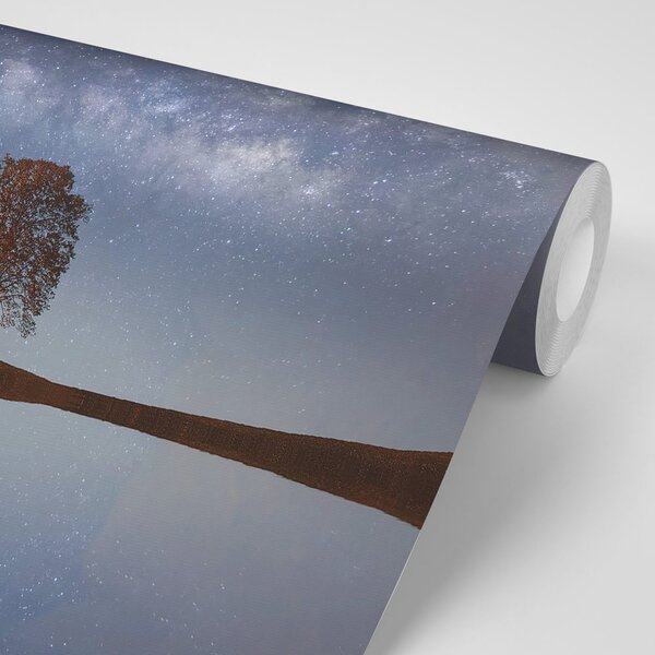 Carta da parati autoadesiva – Cielo stellato sopra l'albero solitario