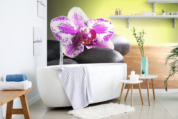 Fotomurale – Orchidea e pietre nere