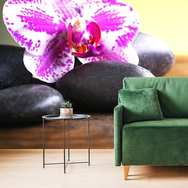 Fotomurale – Orchidea e pietre nere