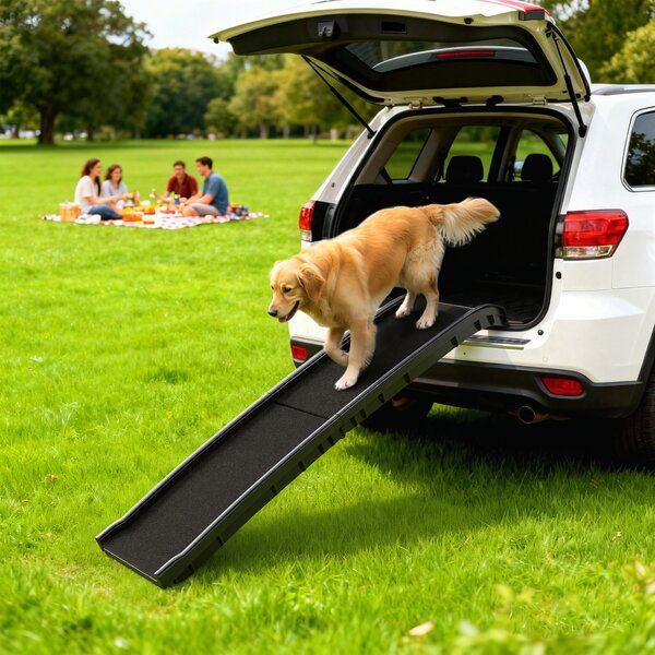 PawHut Rampa pieghevole per cani, scala per cani in PP con pendenza dolce e superficie antiscivolo, 155x38,5x15,5cm, nero | Aosom Italy