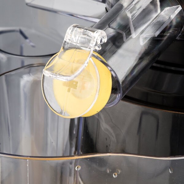 R.G.V. Estrattore di Succo Frutta e Verdura Slow Juicer Contenitore succo e Polpa Potenza 400 Watt - Juice Art