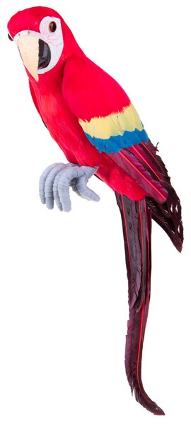 Pappagallo H 70 cm
