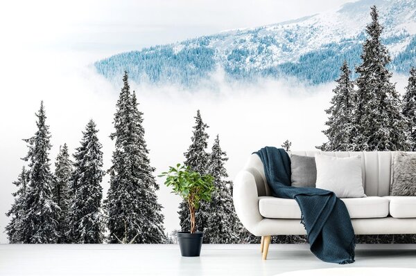 Fotomurale – Alberi di pino innevati