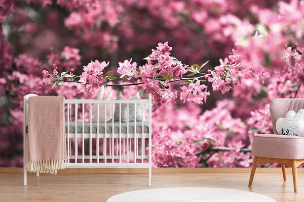 Fotomurale – Fiori di ciliegio dettagliati