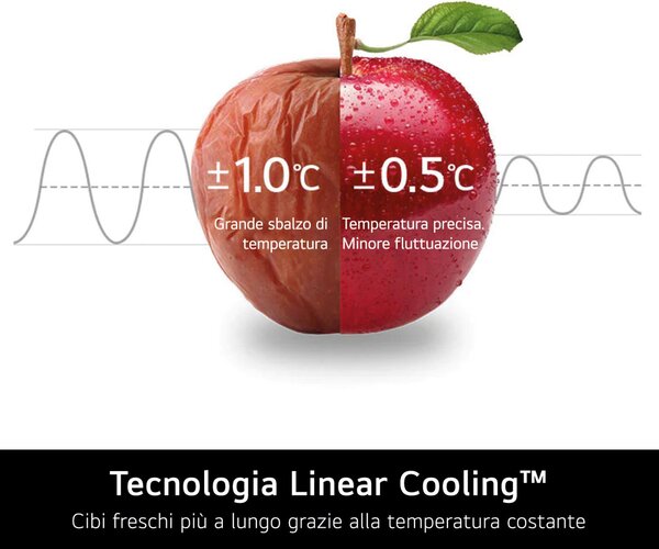 Lg Frigorifero Americano Side by Side 664 Litri Classe energetica E Raffreddamento No Frost colore Argento - GSBC40PYPE.APYQEUR