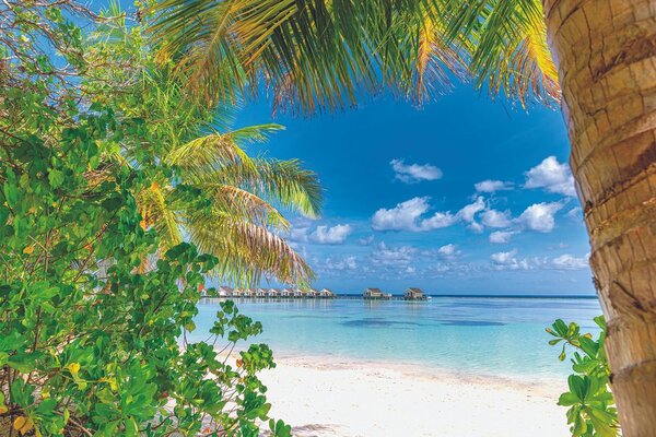 Fotomurale – Relax in resort tropicale