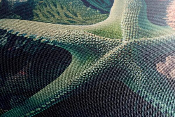 Quadro su tela – Stelle marine surrealiste