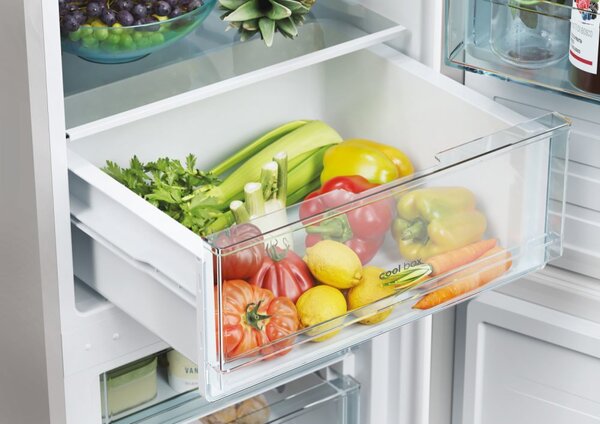 Candy Frigorifero Combinato Capacit 260 Litri Classe energetica E Raffreddamento Statico colore Argento - CCT3L517ES