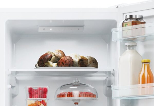 Candy Frigorifero Combinato Capacit 260 Litri Classe energetica E Raffreddamento Statico colore Bianco - CCT3L517EW
