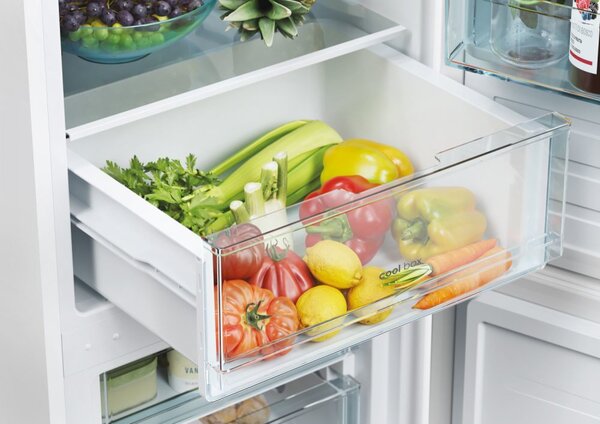 Candy Frigorifero Combinato Capacit 260 Litri Classe energetica E Raffreddamento Statico colore Bianco - CCT3L517EW
