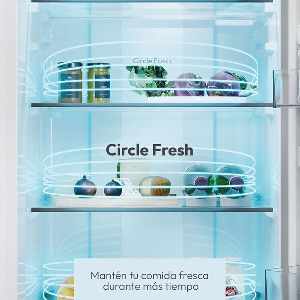 Candy Frigorifero Combinato Capacit 279 Litri Classe energetica E Raffreddamento No Frost colore Nero - CNCQ2T518EB City Fresco 300
