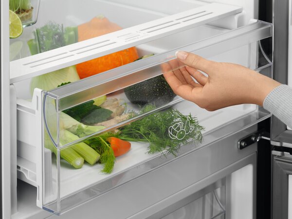 Electrolux Frigorifero Combinato Capacit 366 Litri Classe E Raffreddamento No Frost colore Inox - LNT6ME36U