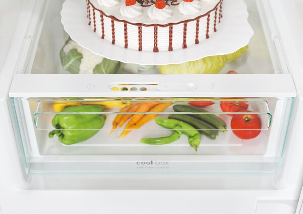 Candy Frigorifero Combinato Capacit 377 Litri Classe energetica D Raffreddamento No Frost colore Argento - CCE4T620DX
