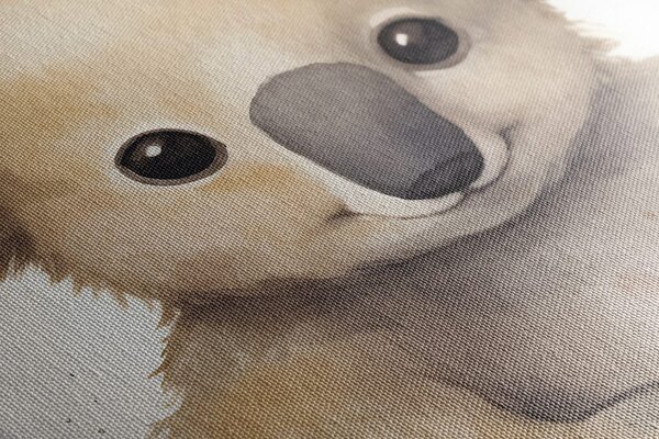 Stampa su tela – Koala sognante