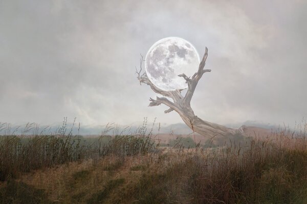 Carta da parati – Luna tra le braccia della natura